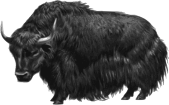 A Black And White Image Of A Yak