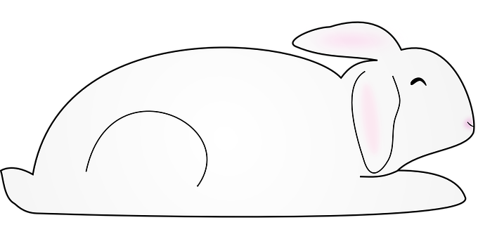 A White Rabbit With Pink Ears