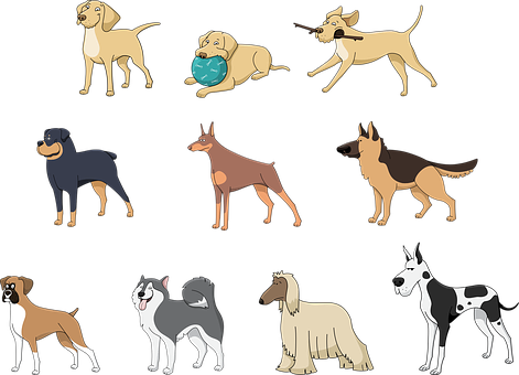 Animals Png 471 X 340
