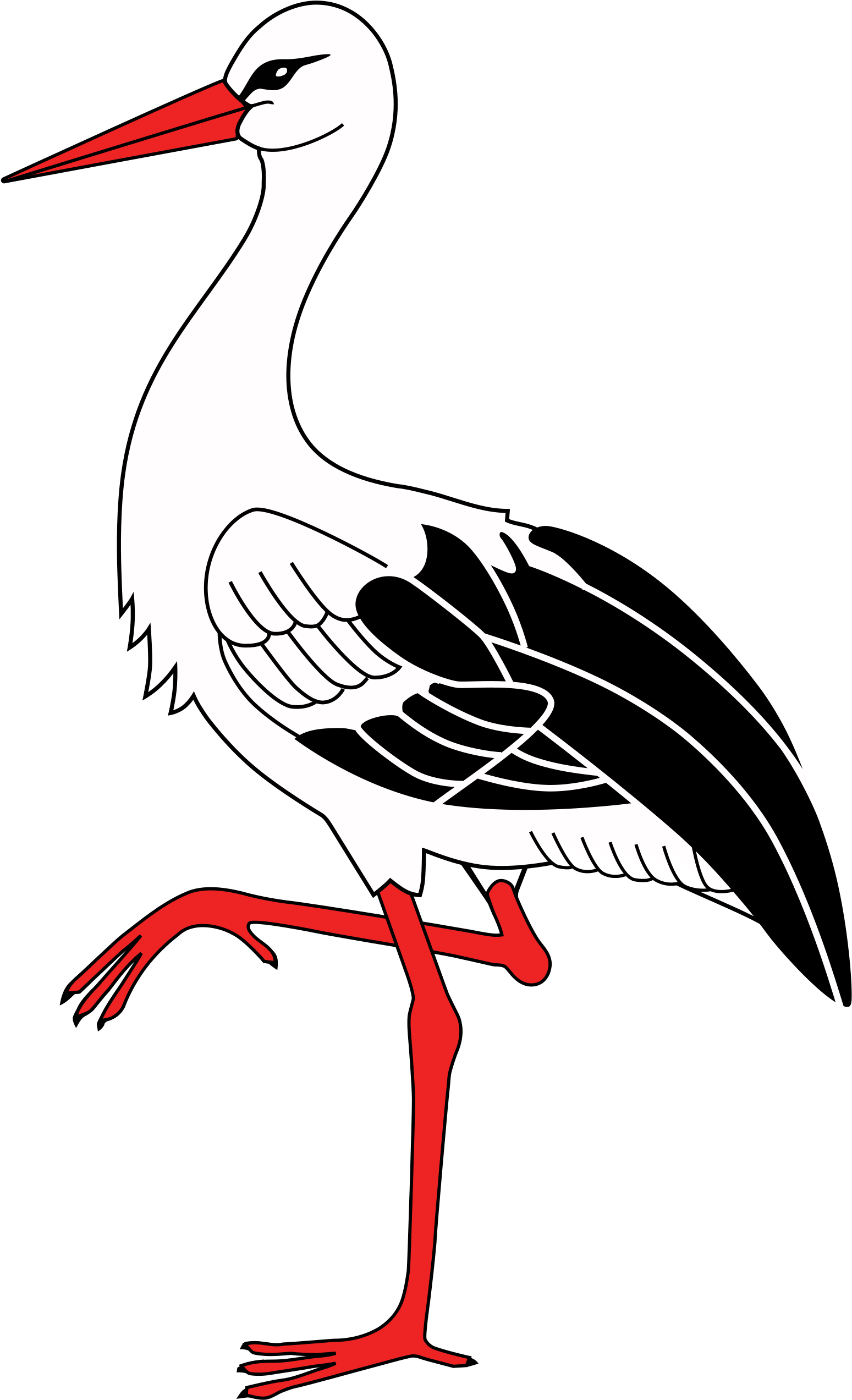 A White Bird With Black And Red Legs