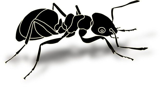 Ant Png 635 X 340