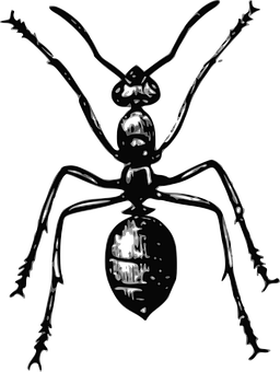 Ant Png 256 X 340