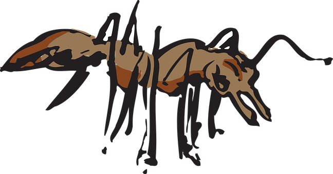 Ant Png 648 X 340