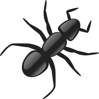 Ant Png 340 X 340