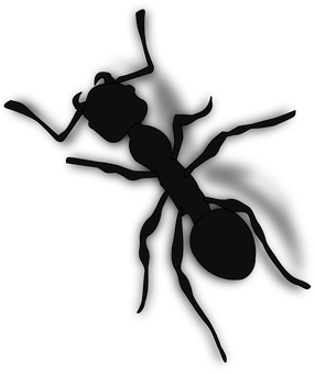 Ant Png 286 X 340