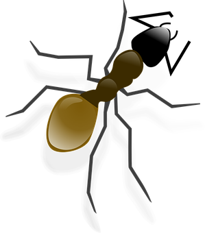 Ant Png 299 X 340