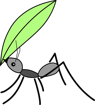 Ant Png 309 X 340