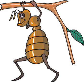 Ant Png 351 X 340