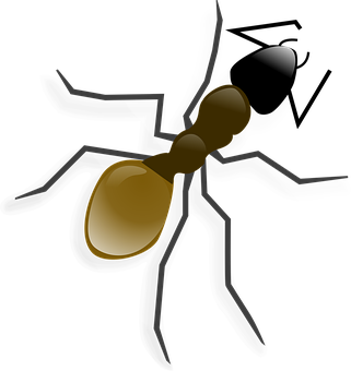 Ant Png 321 X 340