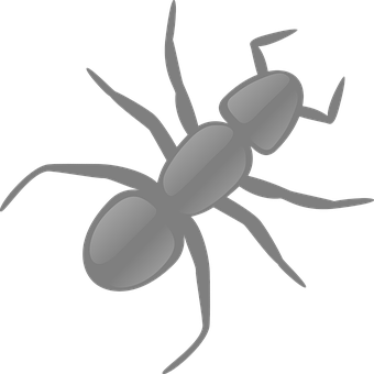 Ant Png 340 X 340