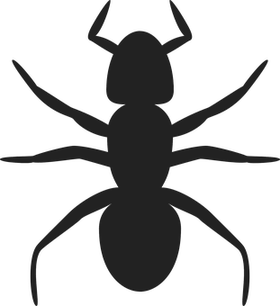 Ant Png 311 X 340
