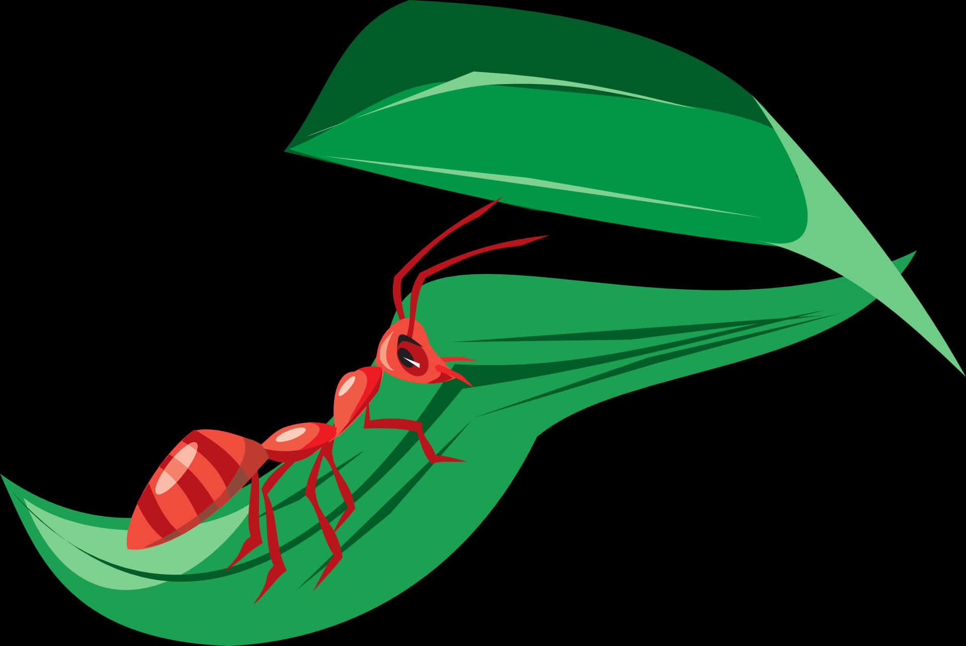 A Red Ant On A Green Leaf