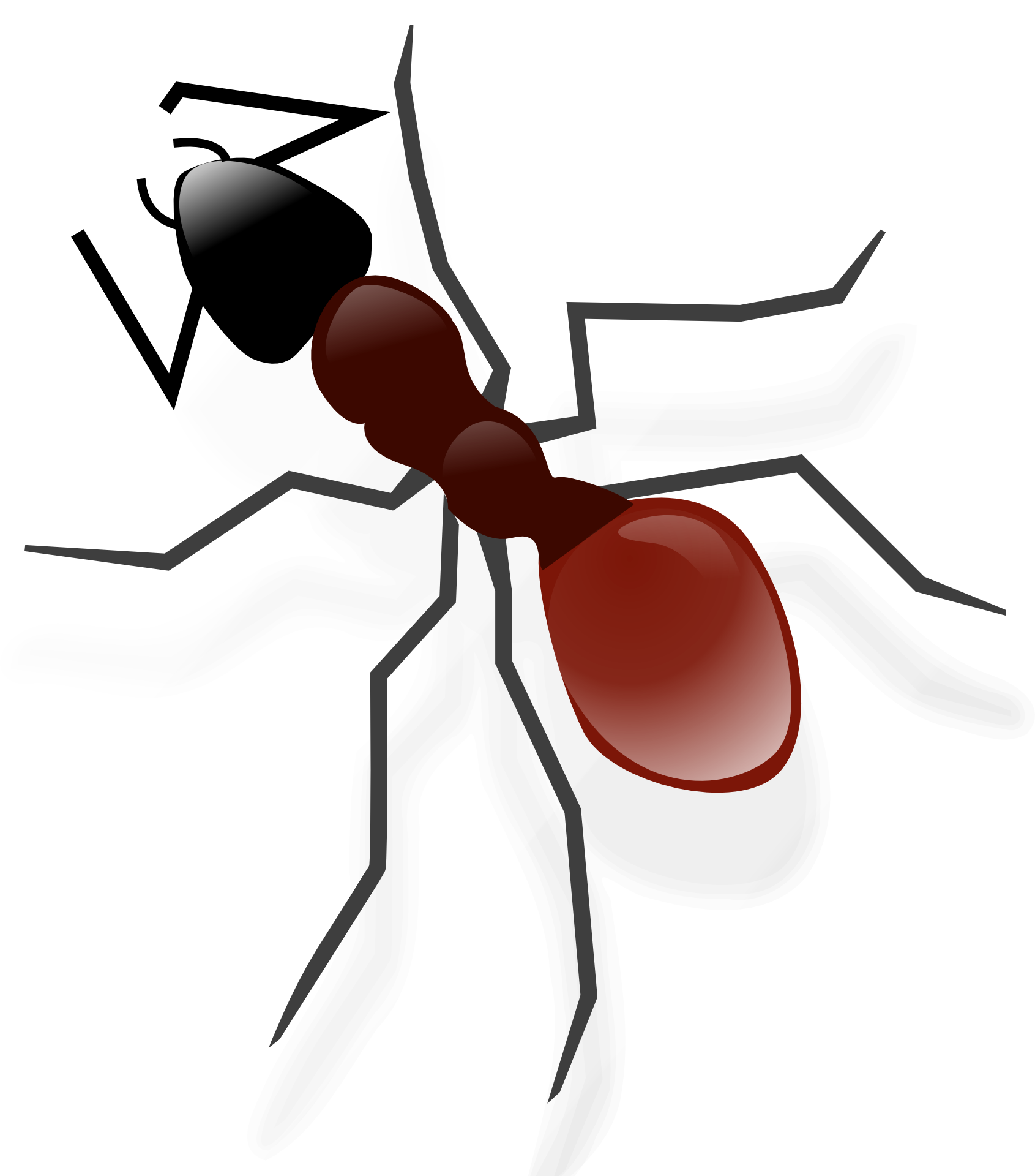 Ant Png 1691 X 1920