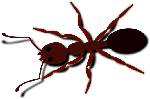Ant Png 516 X 340