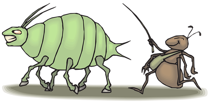 Ant Png 680 X 340