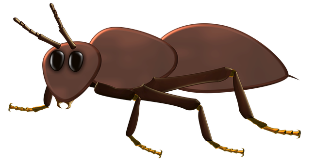 Ant Png 682 X 340