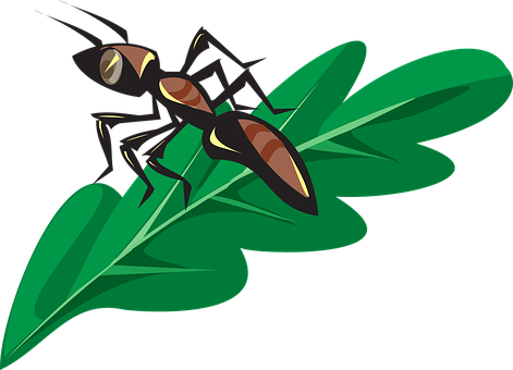Ant Png 471 X 340