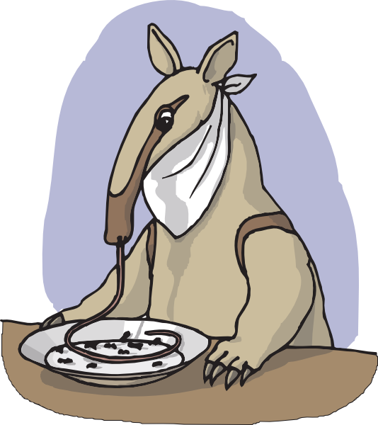 Anteater Png 534 X 600