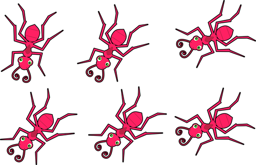 A Group Of Pink Ants