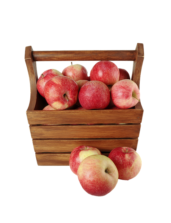 Apple Png 552 X 720