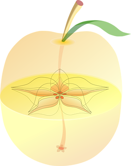 Apple Png 269 X 340