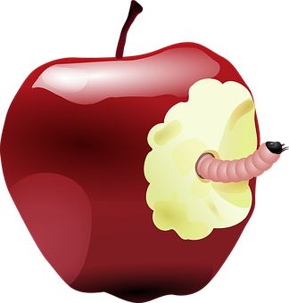 Apple Png 324 X 340