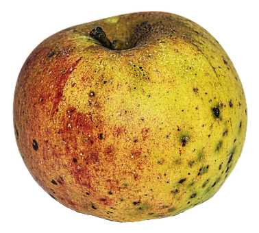 Apple Png 378 X 340