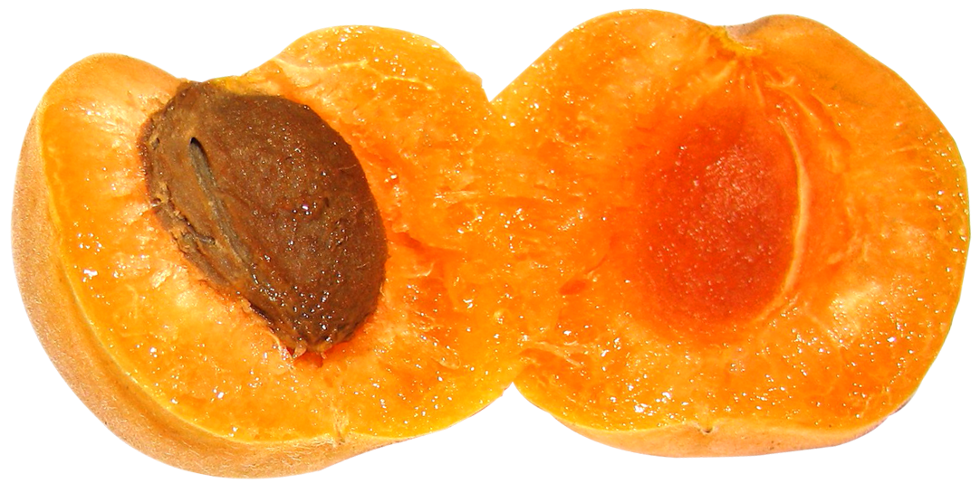 Apricot Png 1082 X 545