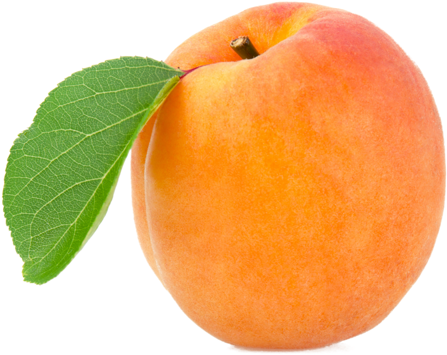 Apricot Png 892 X 709