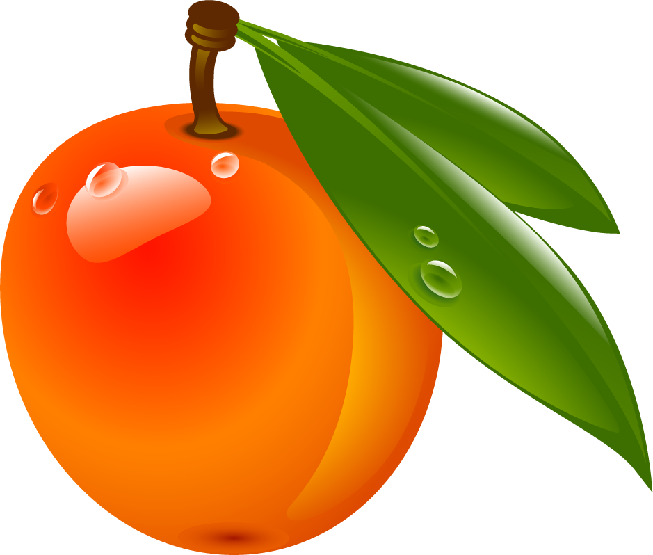 Apricot Png 939 X 798