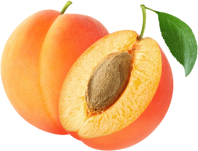 Apricot Png 683 X 520