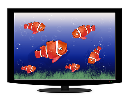 A Screen With A Group Of Fish