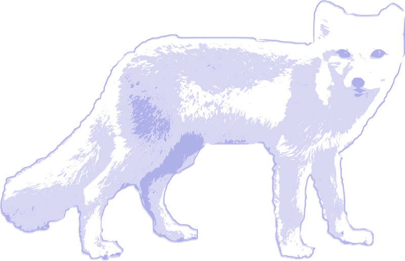 A White And Purple Dog