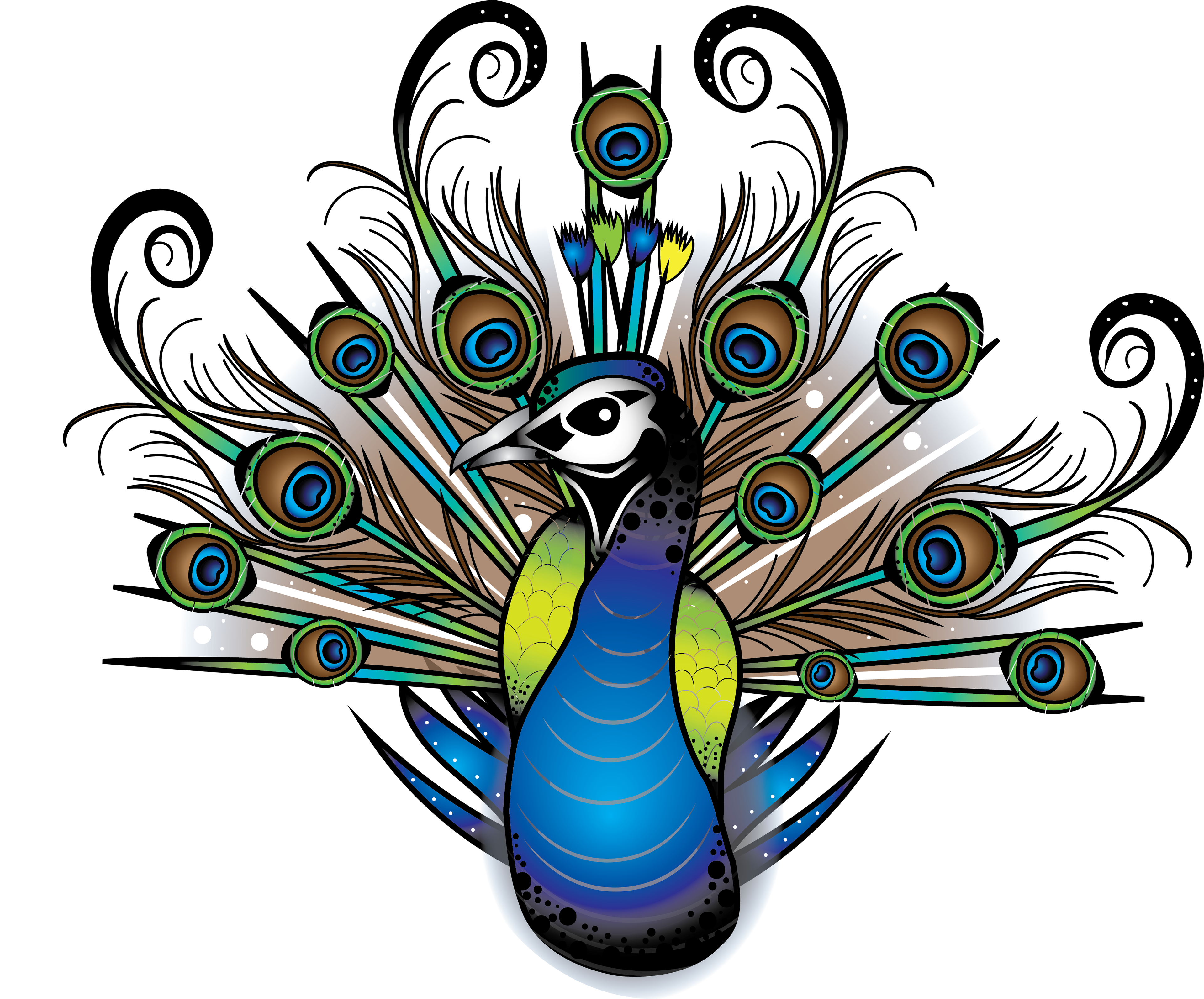 A Colorful Peacock With Many Feathers