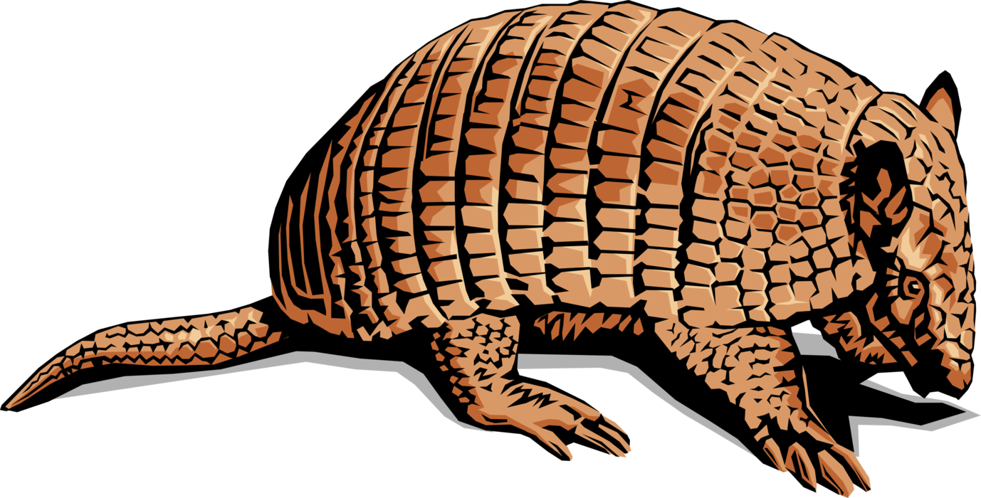 An Armadillo With A Black Background