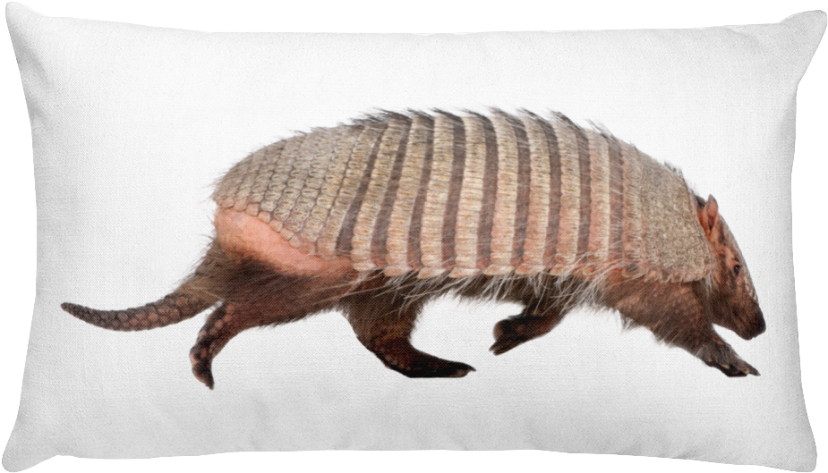 An Armadillo With Striped Skin