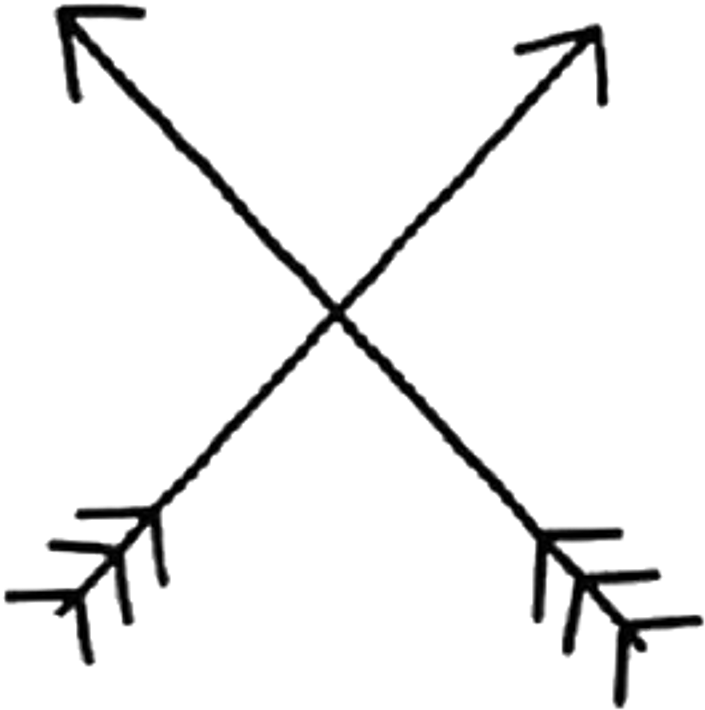 A Black And White Image Of Arrows