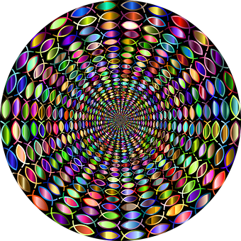 A Circular Pattern Of Colorful Fish