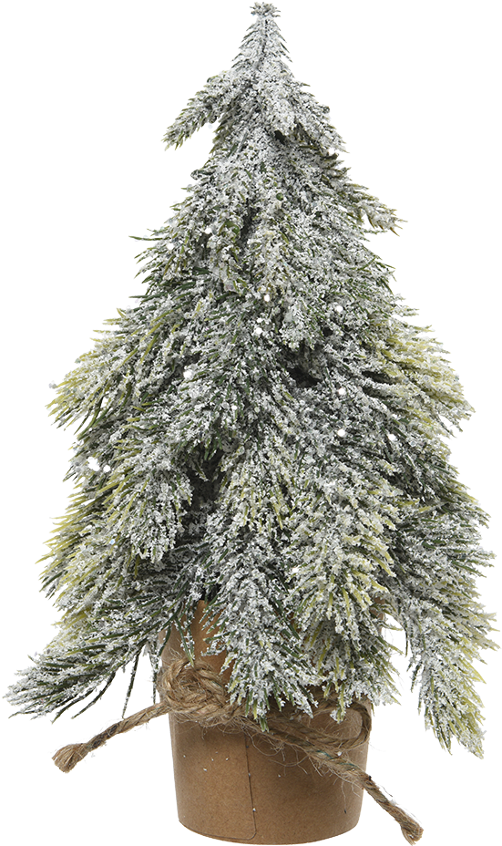 A Tree Covered In Snow