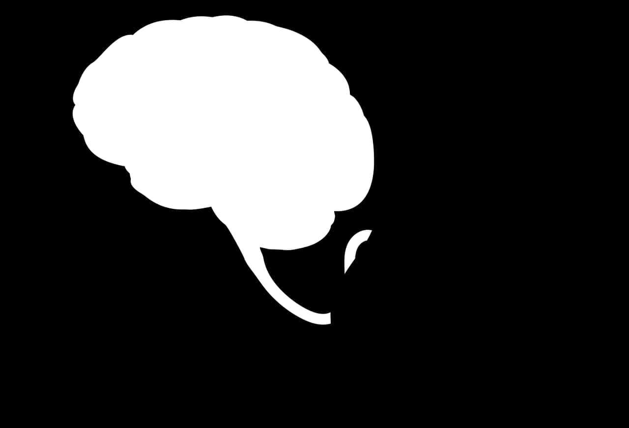 A White Brain Silhouette On A Black Background