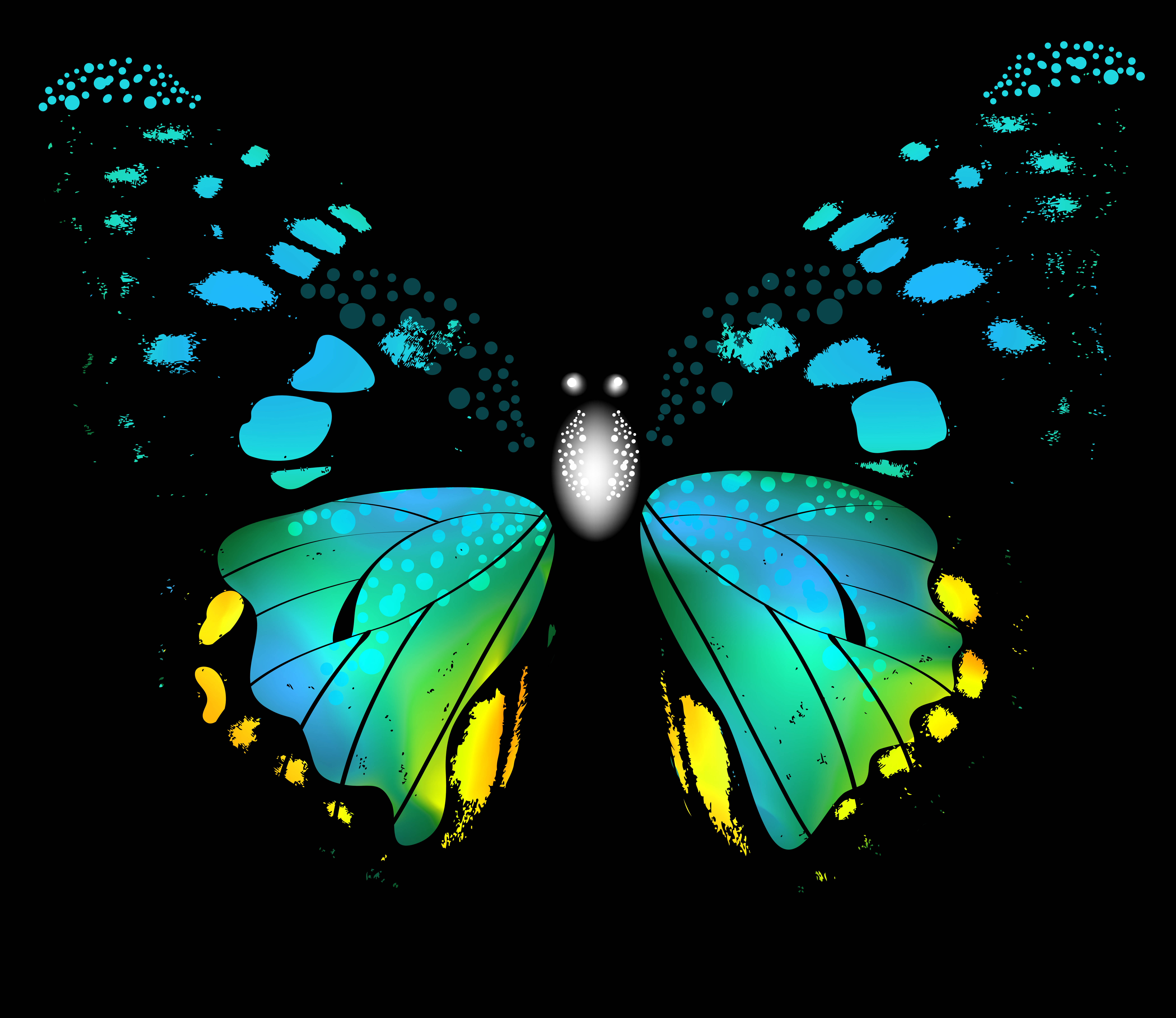 Artistic Butterfly Blue Turquoise Hd Wallpaper | Background Image