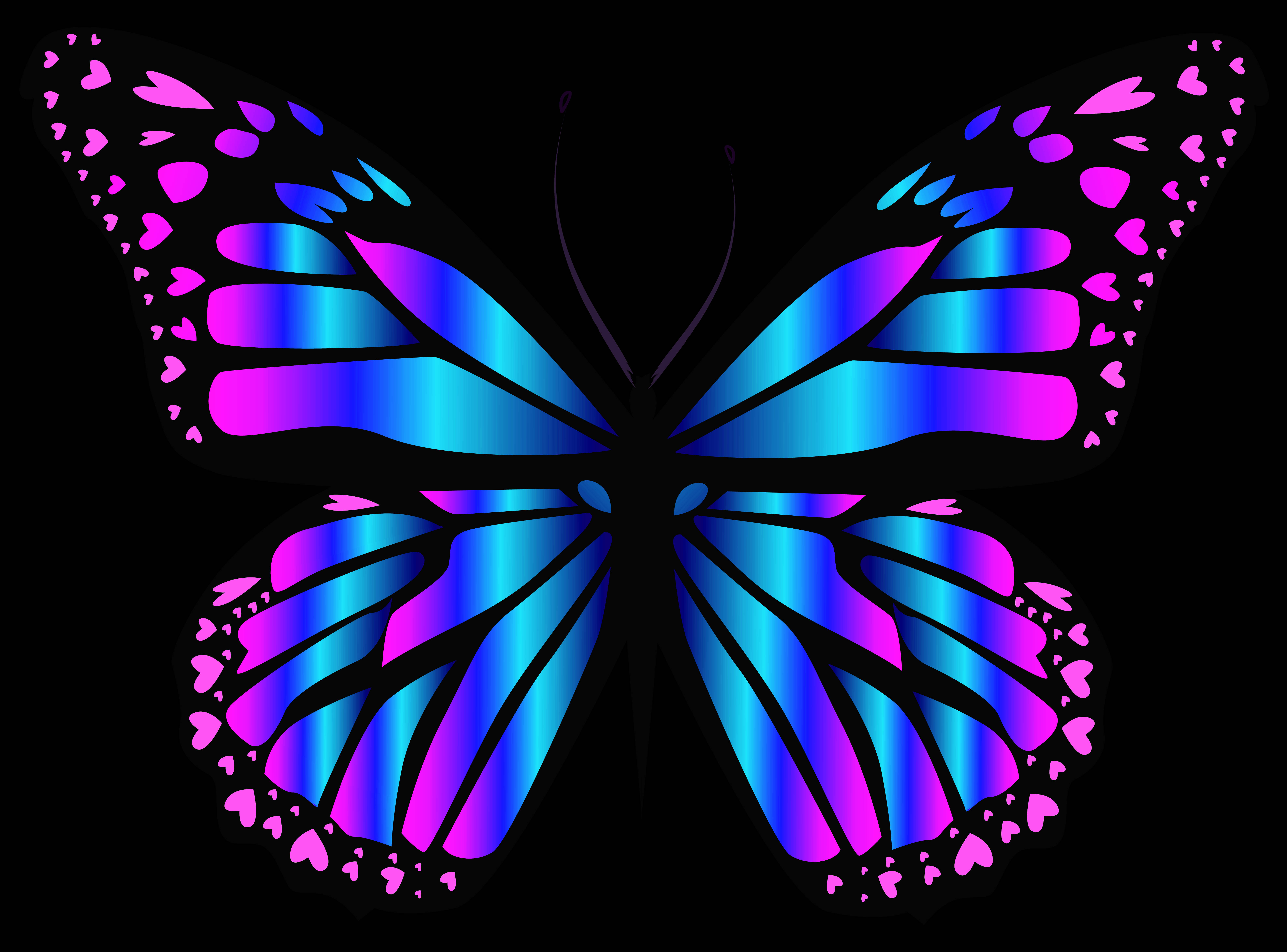 Artistic Butterfly Colors Colorful Blue Purple Hd Wallpaper | Background Image