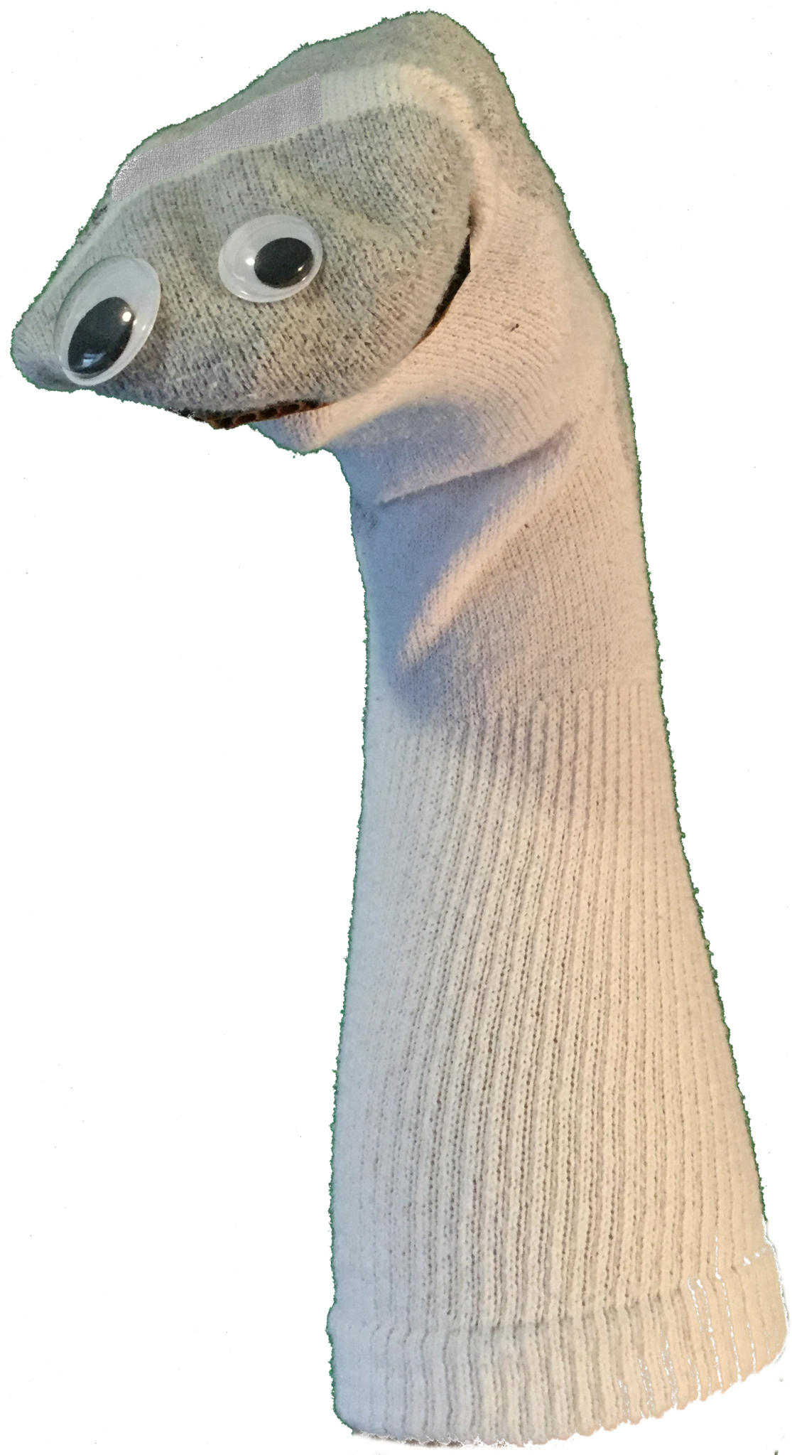 A Sock Puppet With A White Sock