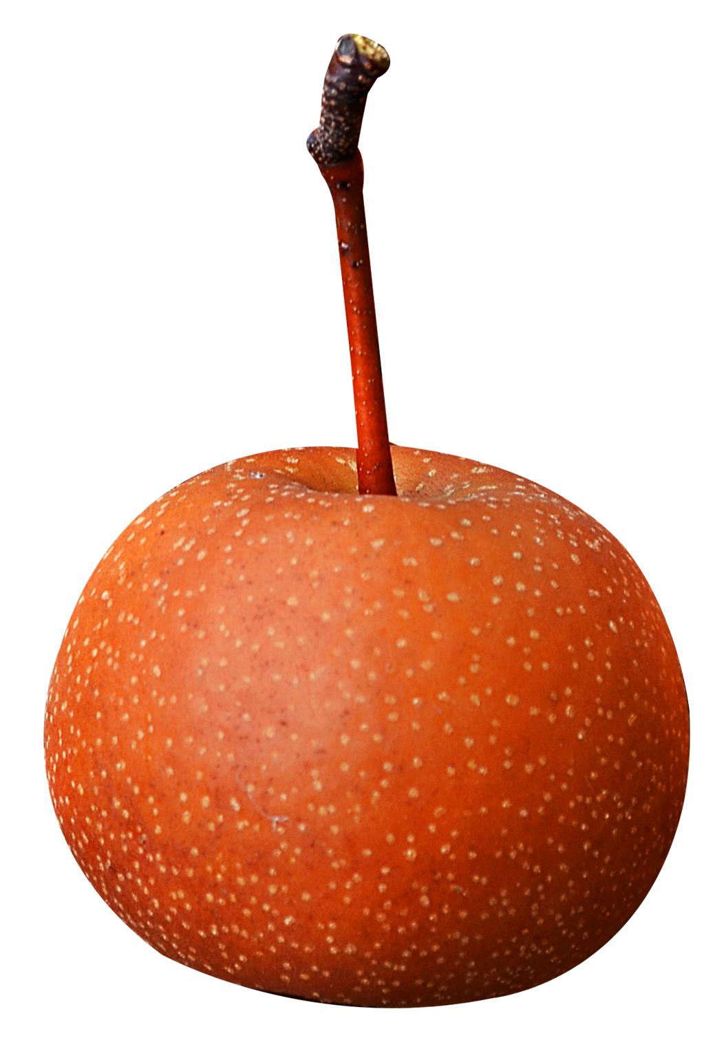 A Close Up Of An Apple