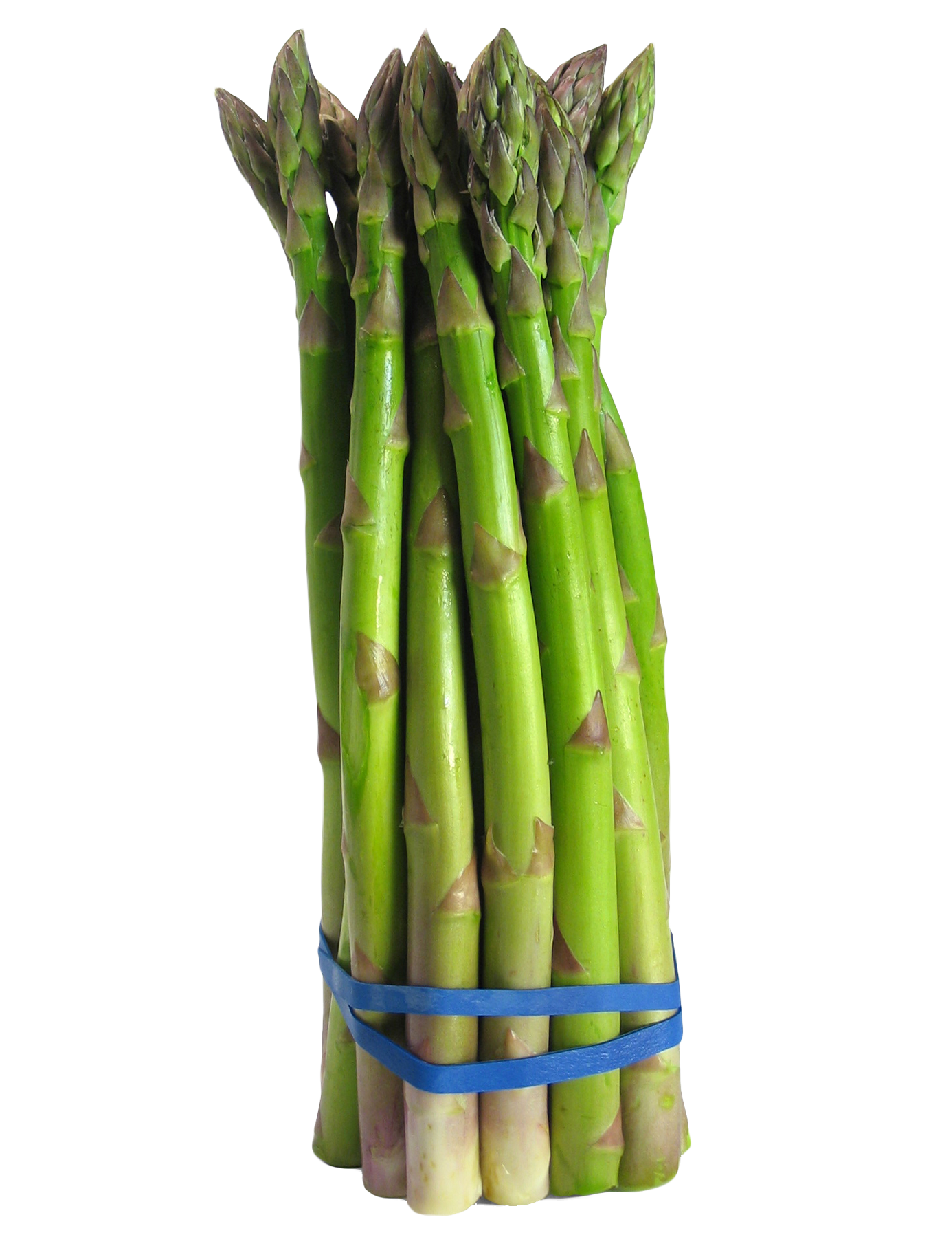 A Bunch Of Asparagus Tied With Rubber Bands