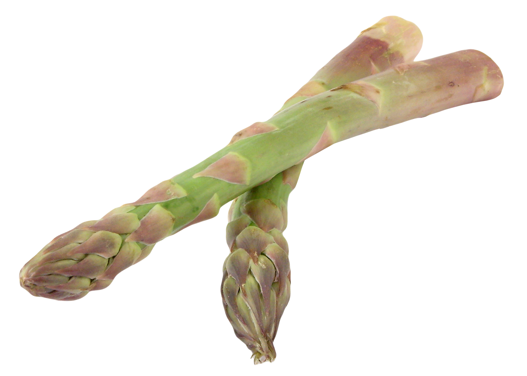 A Close Up Of Asparagus