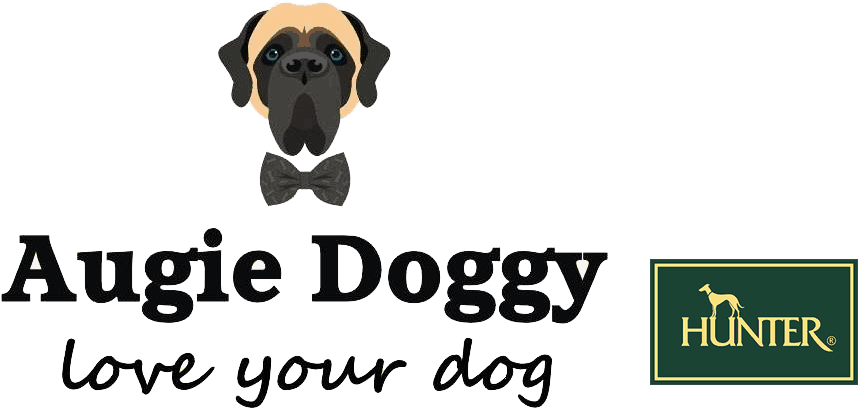 Augie Doggy - Augie Doggie Pet Store, Hd Png Download