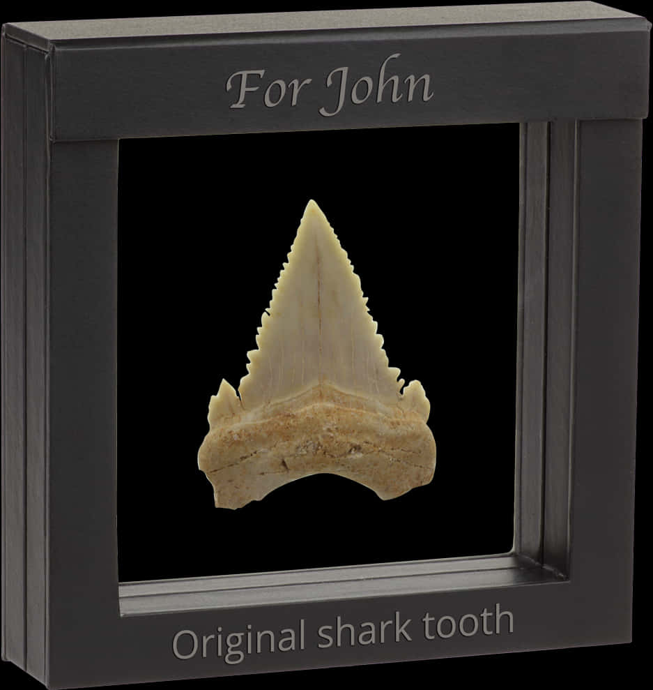 Tooth Png