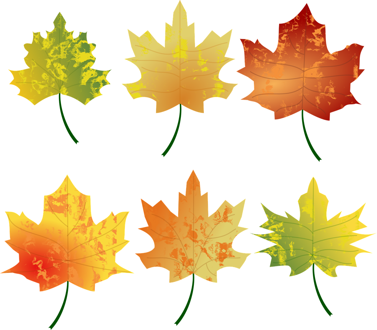 A Group Of Maple Leaves