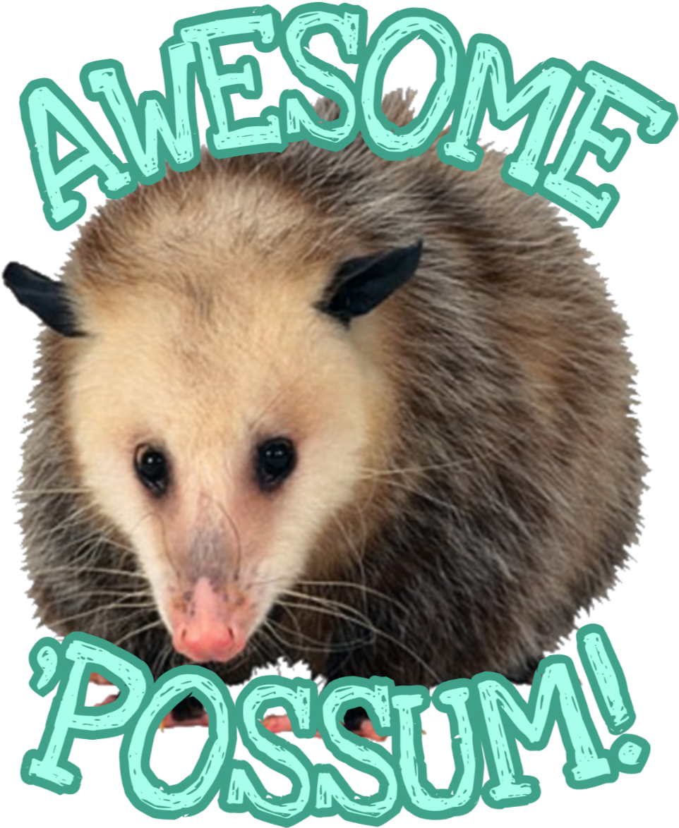 A Possum With Text